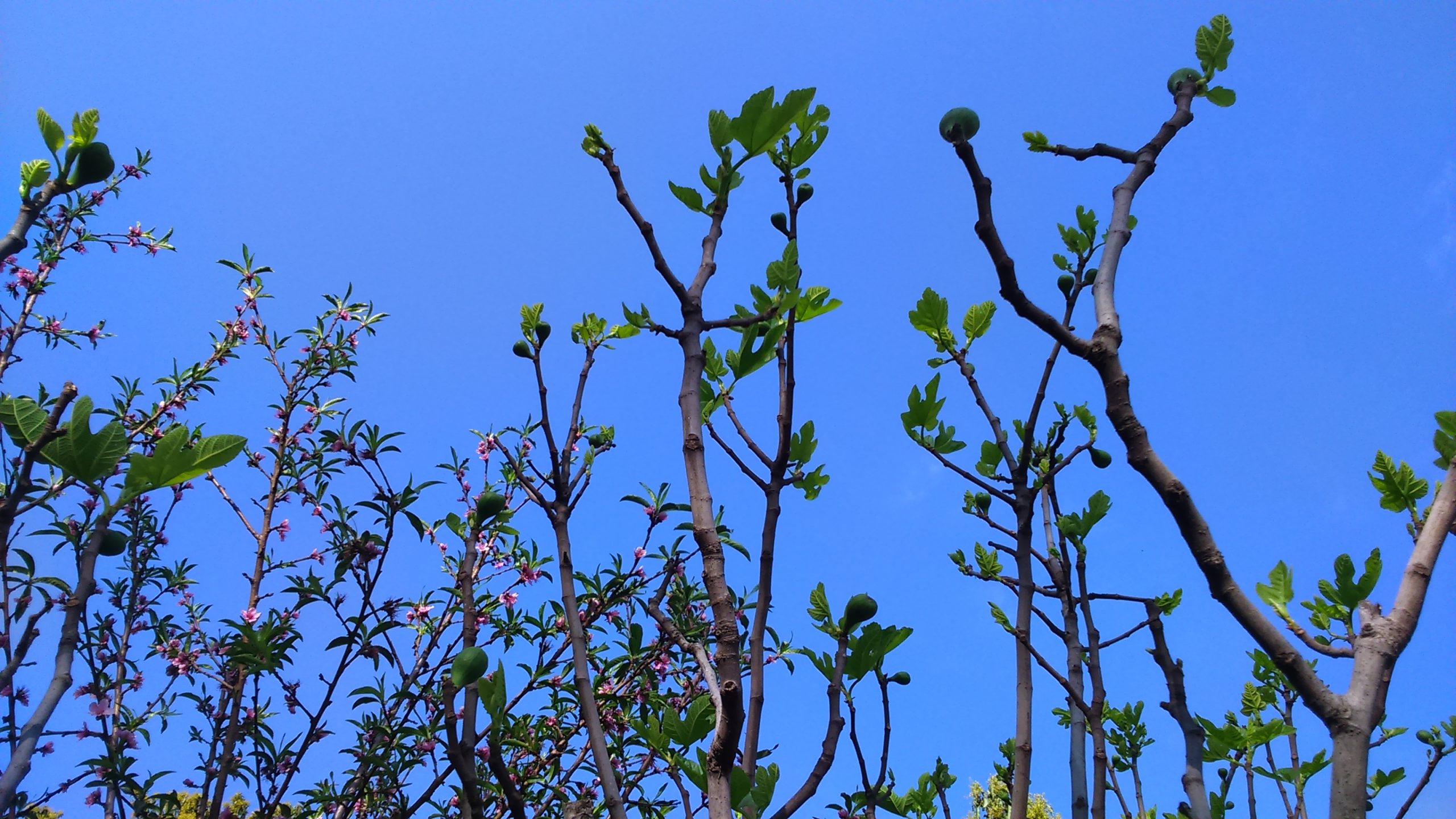 Ahh…Spring – The H Word